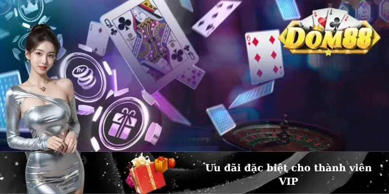 Ưu đãi đặc biệt cho thành viên VIP